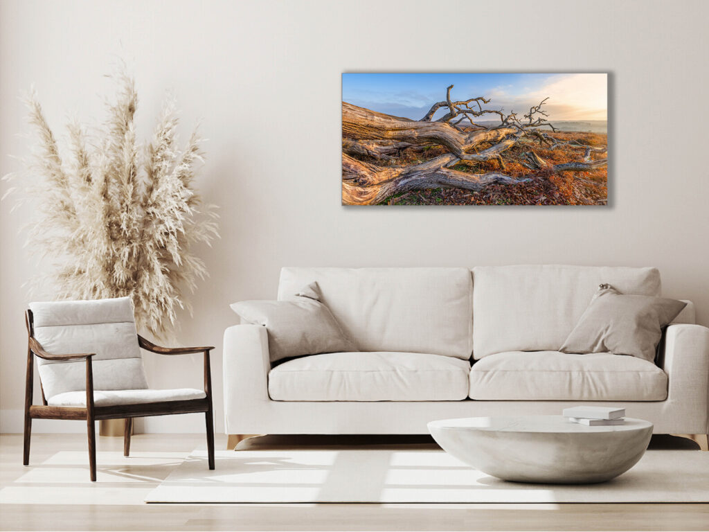 large print of an old fallen tree at Bratley View, The New Forest.