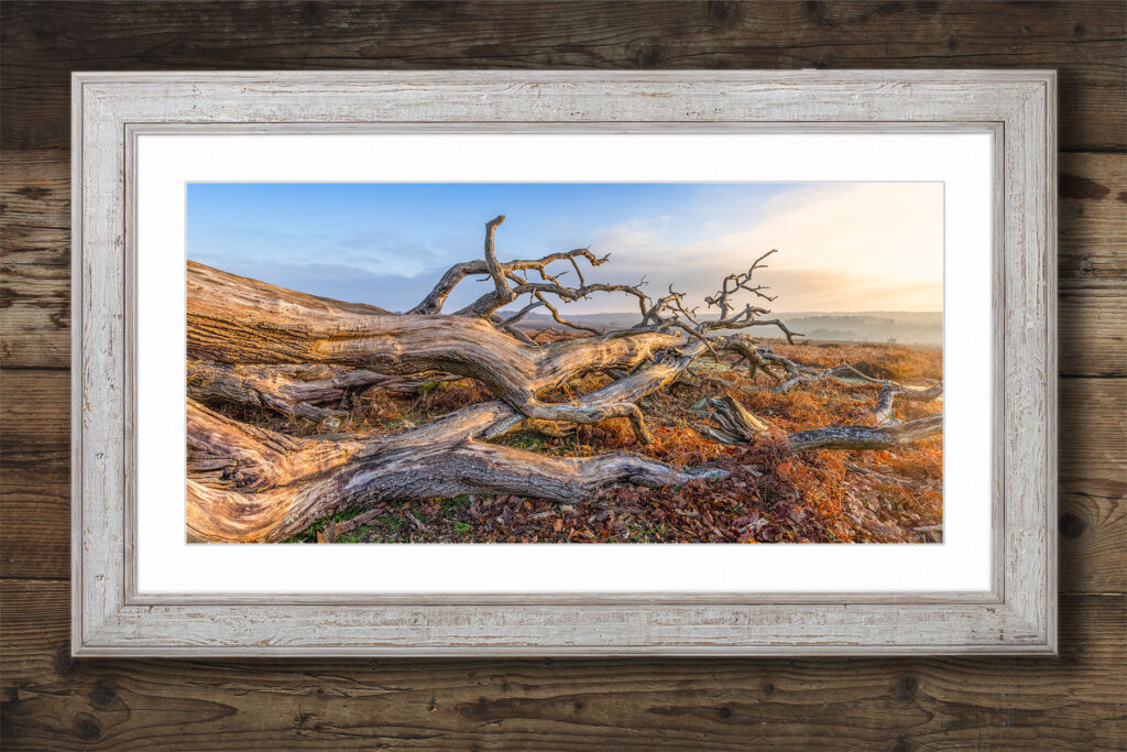 landscape picture for a lounge wall
