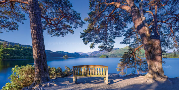 View from Friars Crag, Derwentwater, Lake District, looking out between two trees to the blue lake and distant hills.