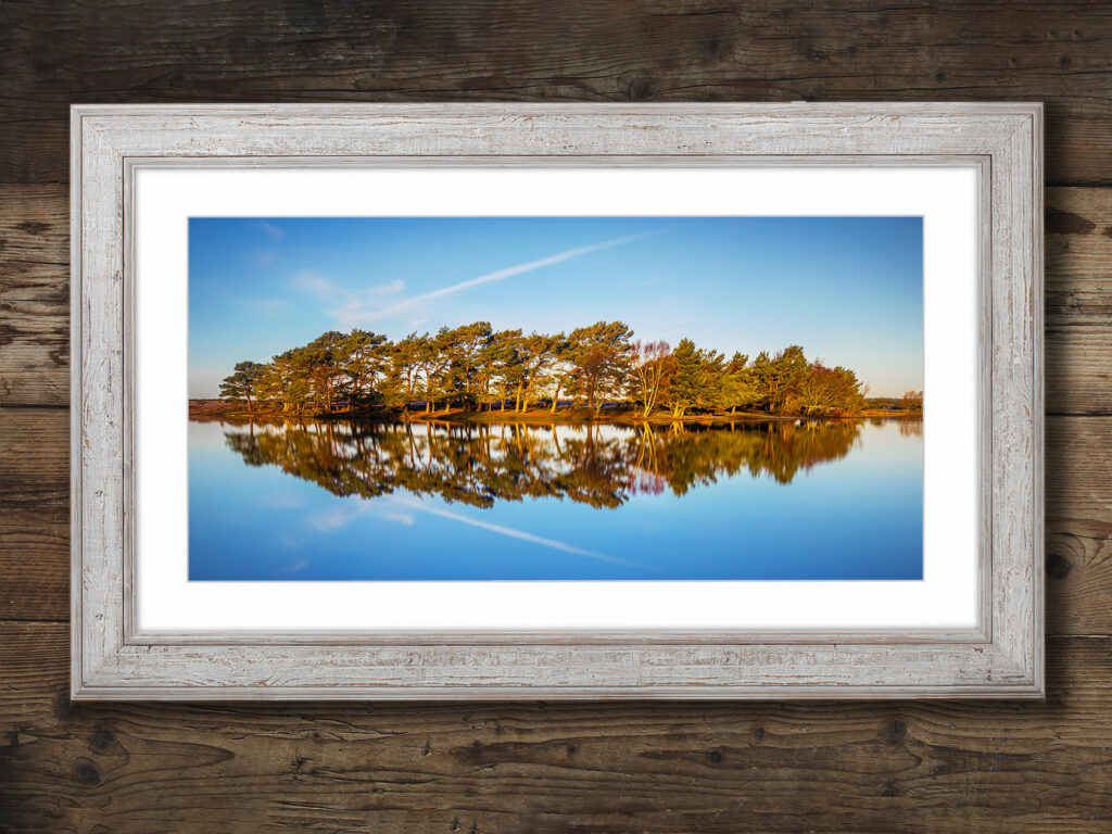 Hatchett Pond, New Forest. 2 - Image 5