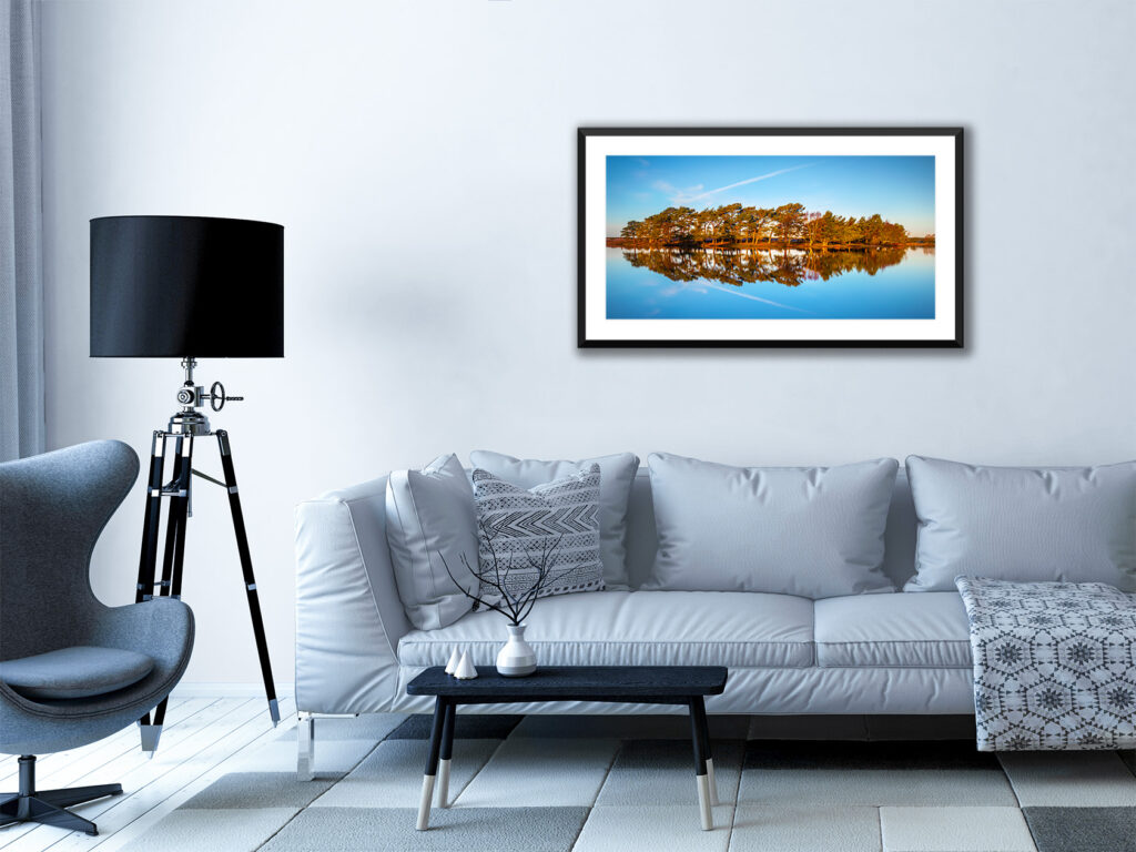 Hatchett Pond, New Forest. 2 - Image 9