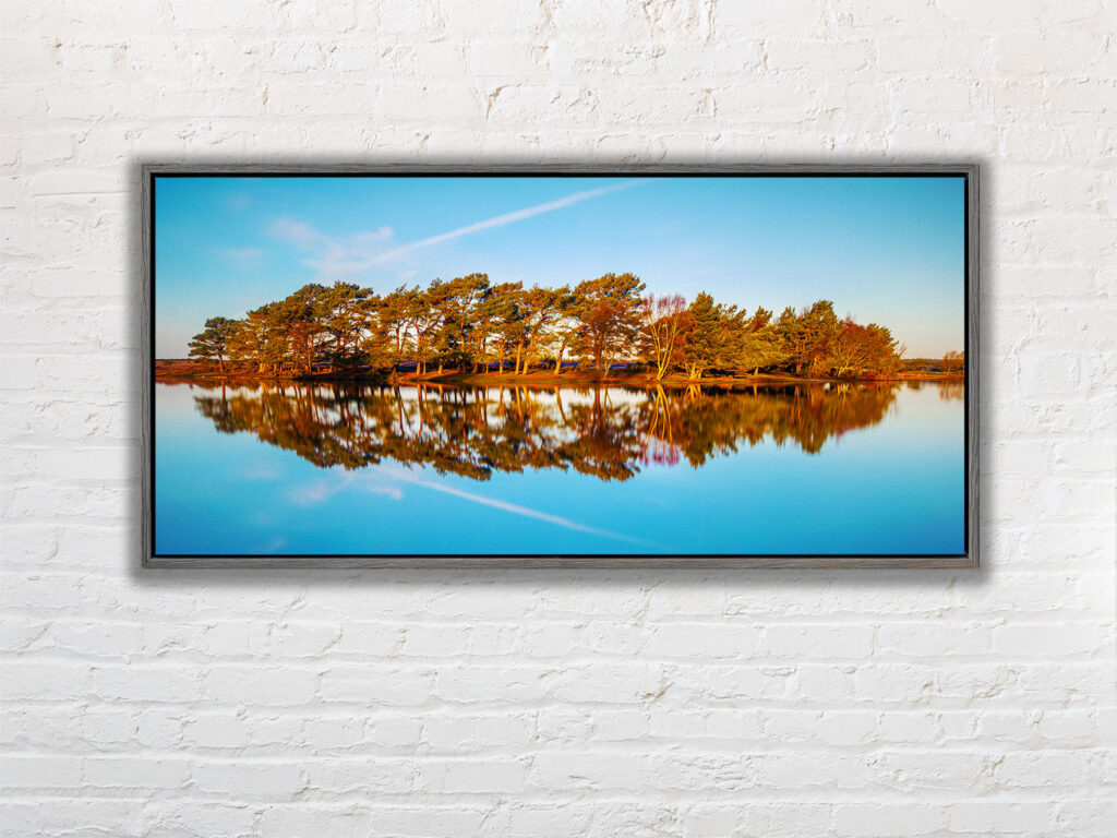 Hatchett Pond, New Forest. 2 - Image 8