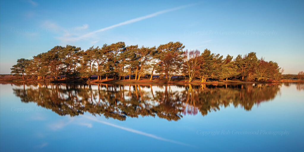 Hatchett Pond, New Forest