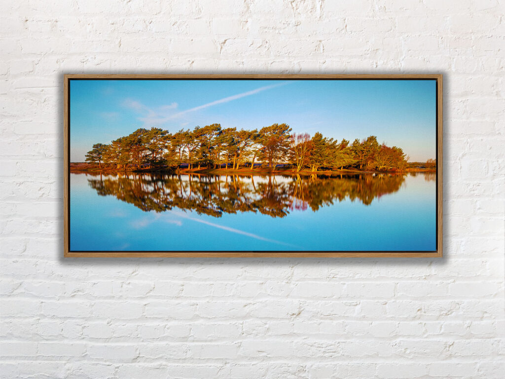 Hatchett Pond, New Forest. 2 - Image 7