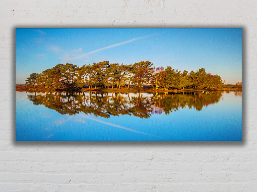 Hatchett Pond, New Forest. 2 - Image 6