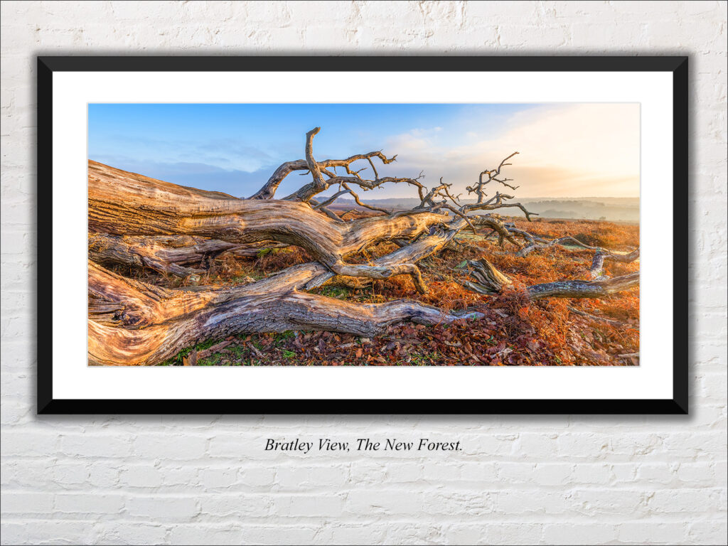 Bratley View, The New Forest - Image 4