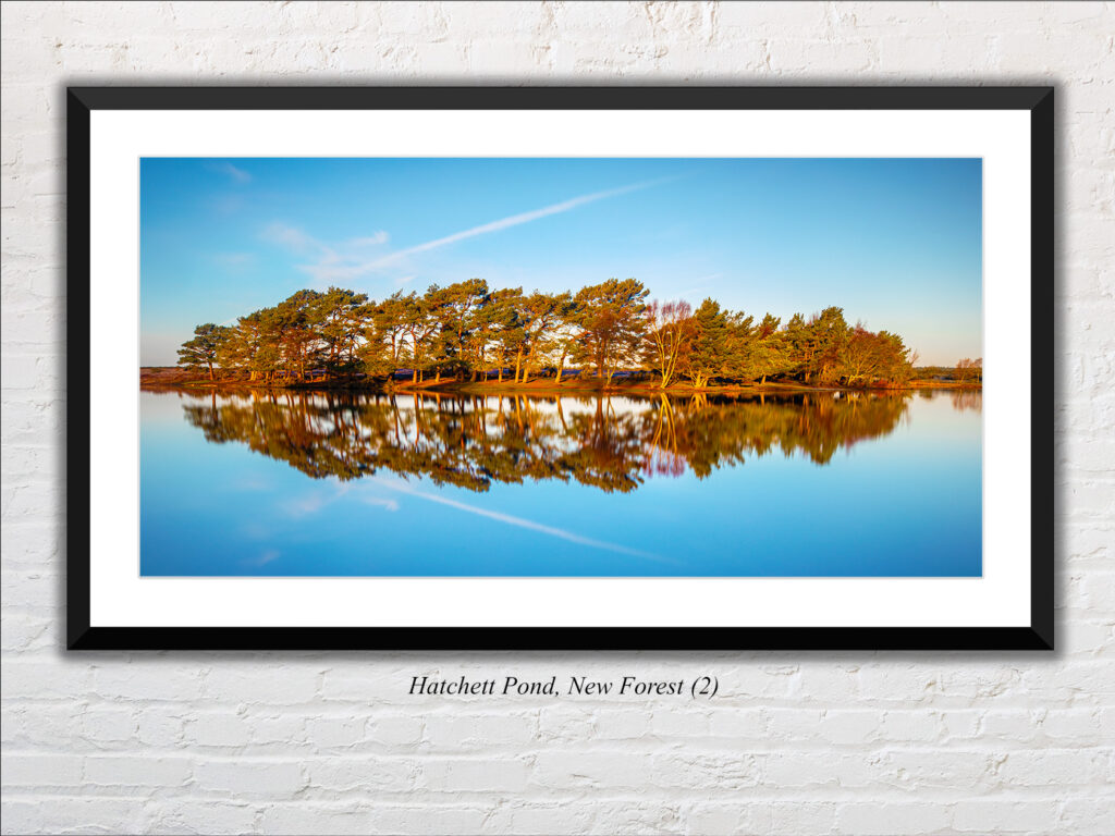 Hatchett Pond, New Forest. 2 - Image 4